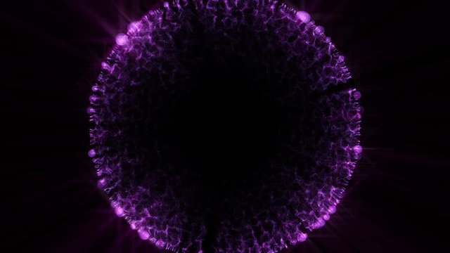 Glitter purple explosion sparkles on black background.