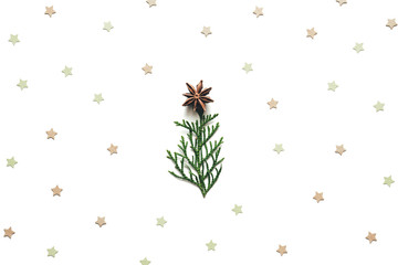 Christmas Tree Made Of  Cypress Twig And Anise Star