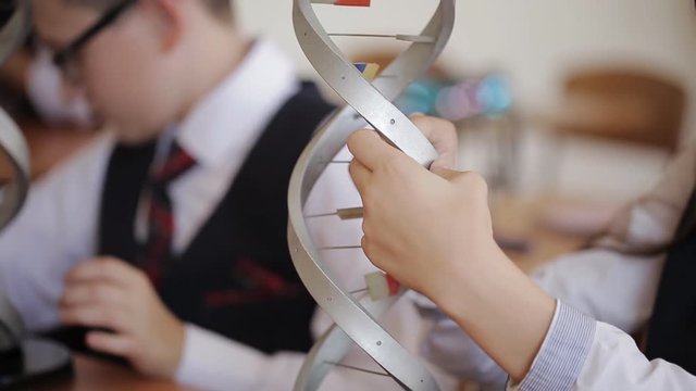 High school students study the structure of the DNA molecule in the class of biology and anatomy