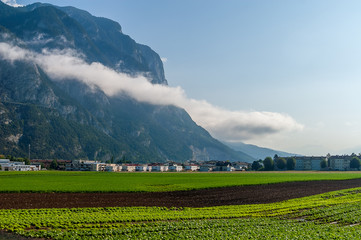 A green farmland close to a small town in front of the mountain with a white low cloud at sunny day - 233927739