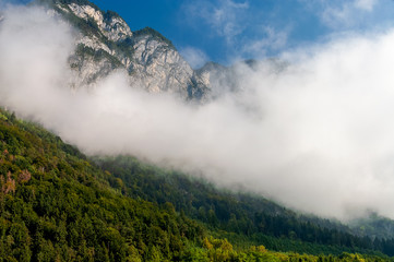 A dense white low cloud right on a wooded green mountain at sunny day