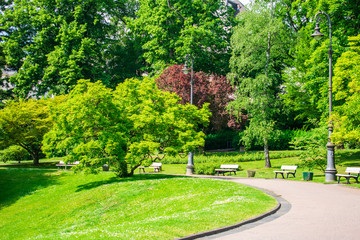 park in spring
