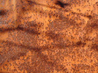 Grunge rusted metal texture. Rusty corrosion and oxidized background. Worn metallic iron panel.