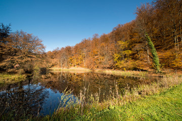 Kleiner Teich im Herbst