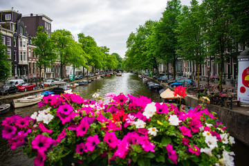 Fototapeta na wymiar view of a canal in amsterdam