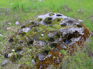 indian grind rock with green moss