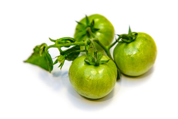 Natural organic tomatoes, green and orange on white background with shadow.