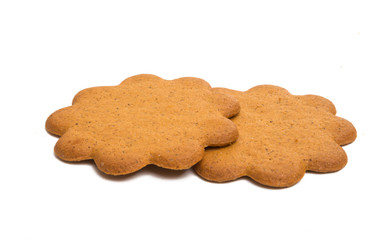 gingerbread cookie isolated