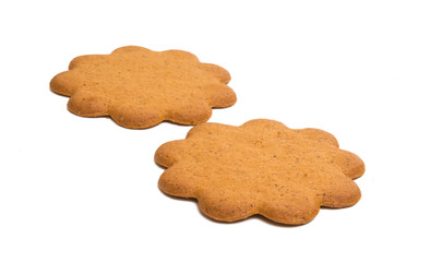 gingerbread cookie isolated