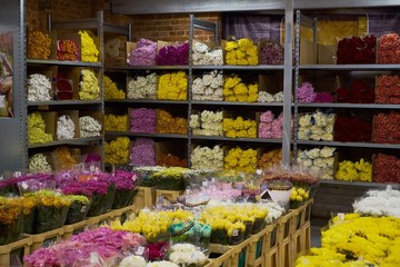 Flower market with various multicolored fresh flowers in pots. Red, pink,orange hydrangea, bellflower beautiful multilevel showcase wholesale flower shop. flower base