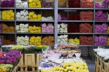 Flower market with various multicolored fresh flowers in pots. Red, pink,orange hydrangea, bellflower beautiful multilevel showcase wholesale flower shop. flower base