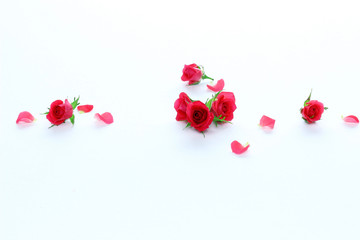 小さな赤いバラのデザイン