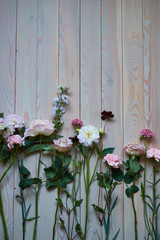 Fototapeta na wymiar young flowers on rustic wooden boards background