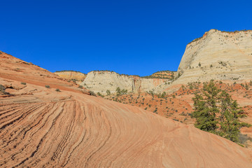 Scenic Zion National Park Landscape