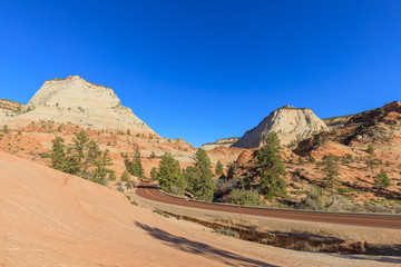 Scenic Zion National Park Landscape