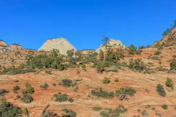 Scenic Zion National Park Landscape