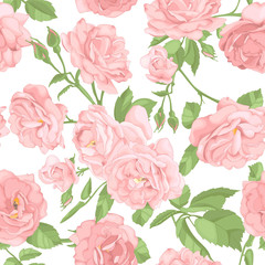 Seamless pattern with blossoming roses flowers. Vector illustration. Pastel colours.