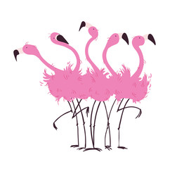 Flock of flamingos vector illustration - obrazy, fototapety, plakaty