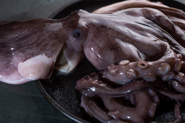 Whole fresh raw octopus on black plate. slate background
