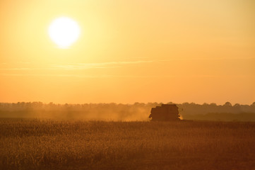 combine harvester working a soybean field at summer sunset