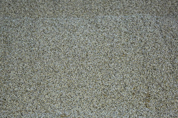 Textured surface of young malt seeds in the elevator