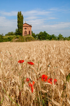 Field of barley and the little church in Castagnole Monferrato, Monferrato, Piedmont, Italy, Europe