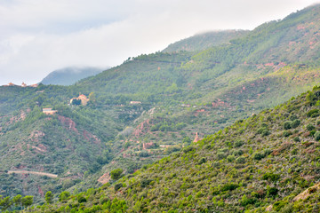 Cae la niebla en la montaña