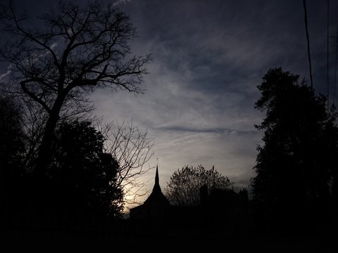 Clocher d'une &eacute;glise au mileu d'une for&ecirc;t au soleil couchant