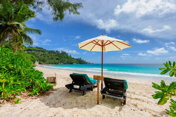 Sandy beach with beach chairs and umbrella, palm and turquoise sea. 