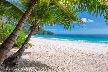 Printed kitchen splashbacks Tropical beach Caribbean beach on tropical island. 