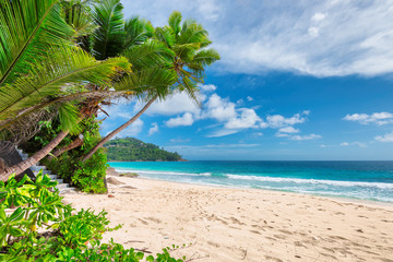 Fototapeta na wymiar Summer vacation and tropical beach concept. 