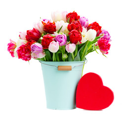 Fresh tulips flowers in pot with heart gift box isolated on white background