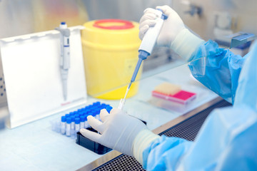The scientist working in the laboratory