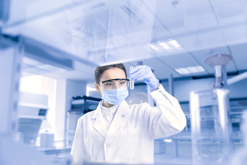 Fototapeta premium Female scientist looking at the scientific sample in the CDC laboratory