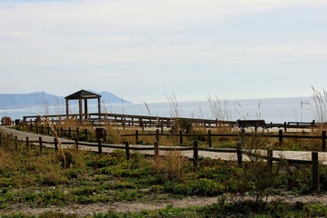 Wooden path on the beach