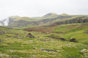 Fototapeta na wymiar Grüne Landschaft mit heißen Quellen und Wasserfällen - Hengill Geothermalgebiet / Island