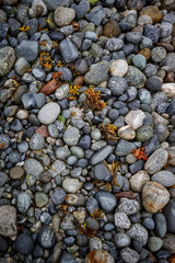 Alaska seashore with granite  stones, pebbles and seaweed