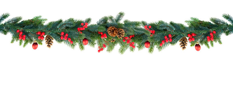 Christmas garland of evergreen tree isolated white background