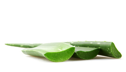 Obraz premium Aloe Vera Plant Isolated On White Background