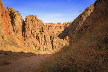 Charyn canyon