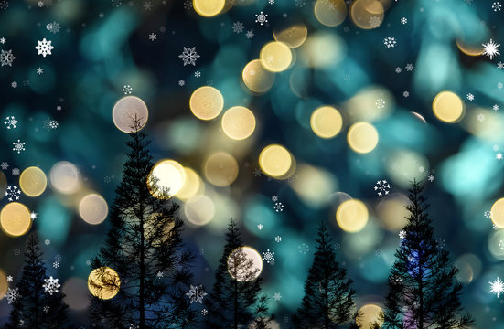 Pine tree with bokeh light background, Christmas tree theme