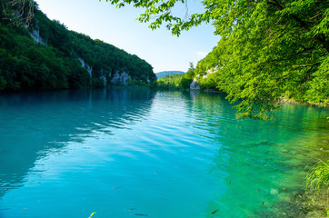 Lake with clear turquoise water, National park Plitvice Lakes, Croatia