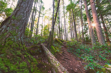 Stunning landscapes and night-caps of the Pacific North West's jewel in Bowen Island in the heart of Howe Sound and off the coast of Vancouver British Columbia Canada.  Fine art photography.