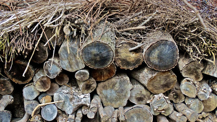Japan. A staple of old wood