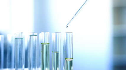 Chemical liquid dripping from pipette in lab tubes, checking reaction, research