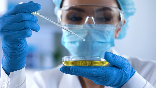 Female Lab Researcher Dripping Test Liquid In Petri Dish And Checking Reaction