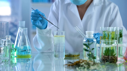 Female scientist experimenting with plant extracts, body care lotions, aroma