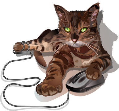 Cat is hunting for computer mouse Vector illustration