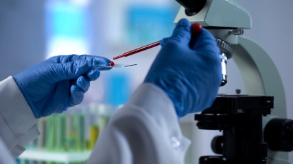 Scientist dripping blood sample for genetics examination, microbiology test