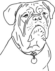 Bilder und Videos suchen: ausmalbild